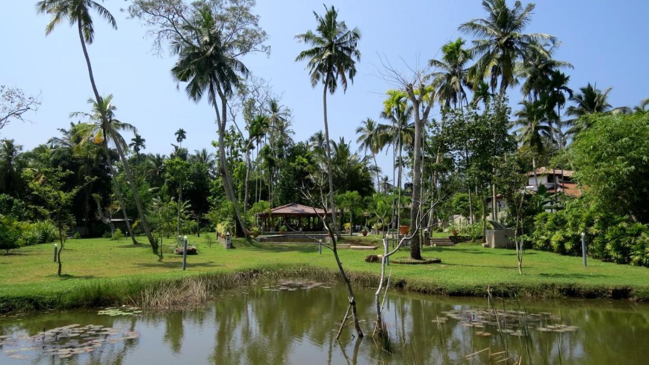 Avalon Village Resort Induruwa Exterior foto