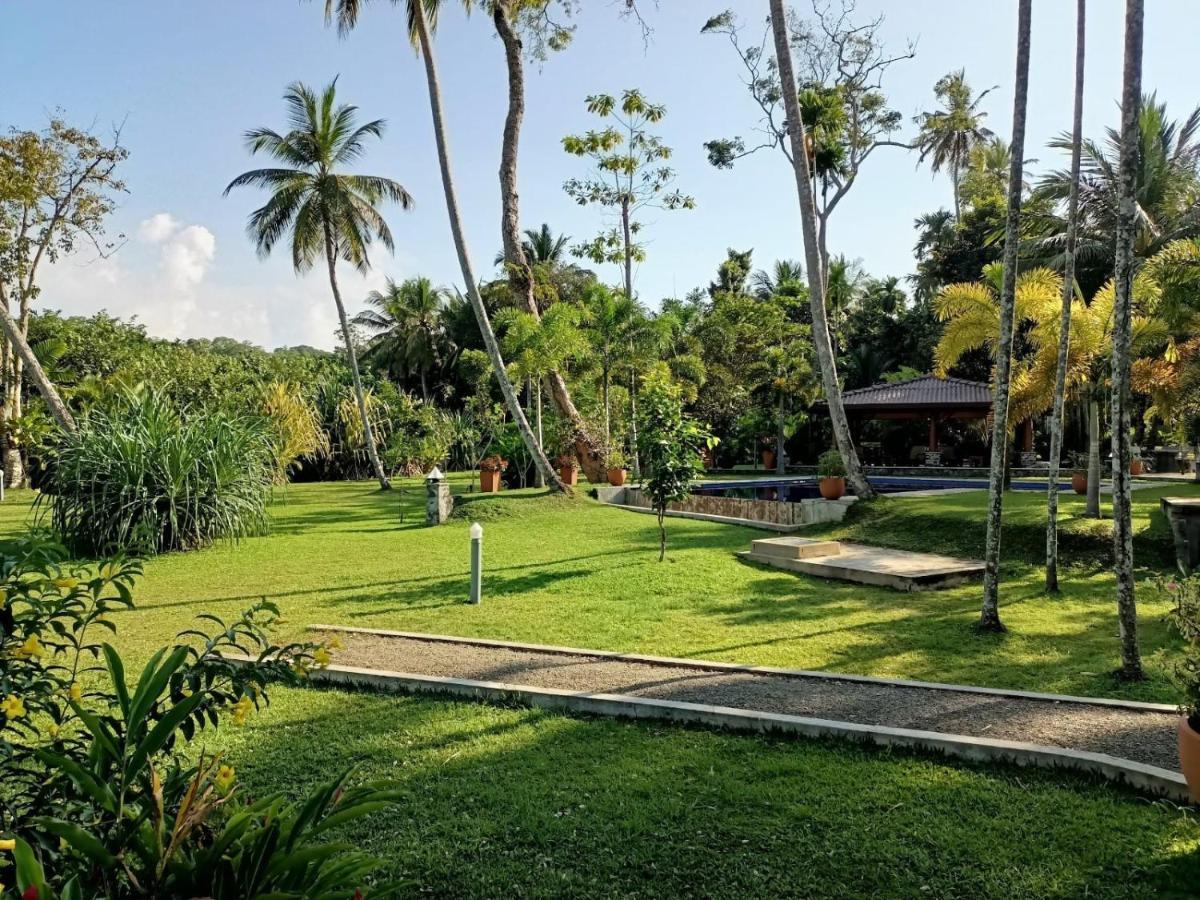 Avalon Village Resort Induruwa Exterior foto