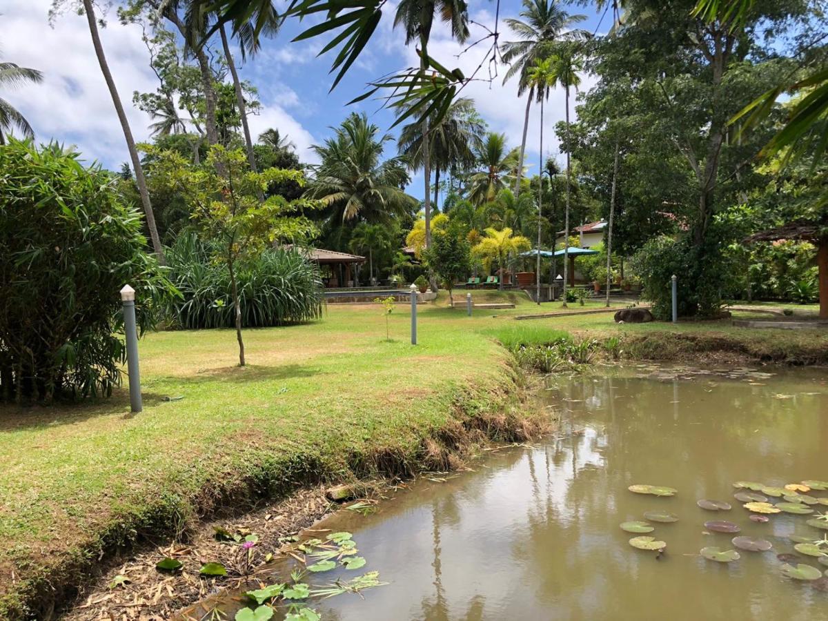 Avalon Village Resort Induruwa Exterior foto