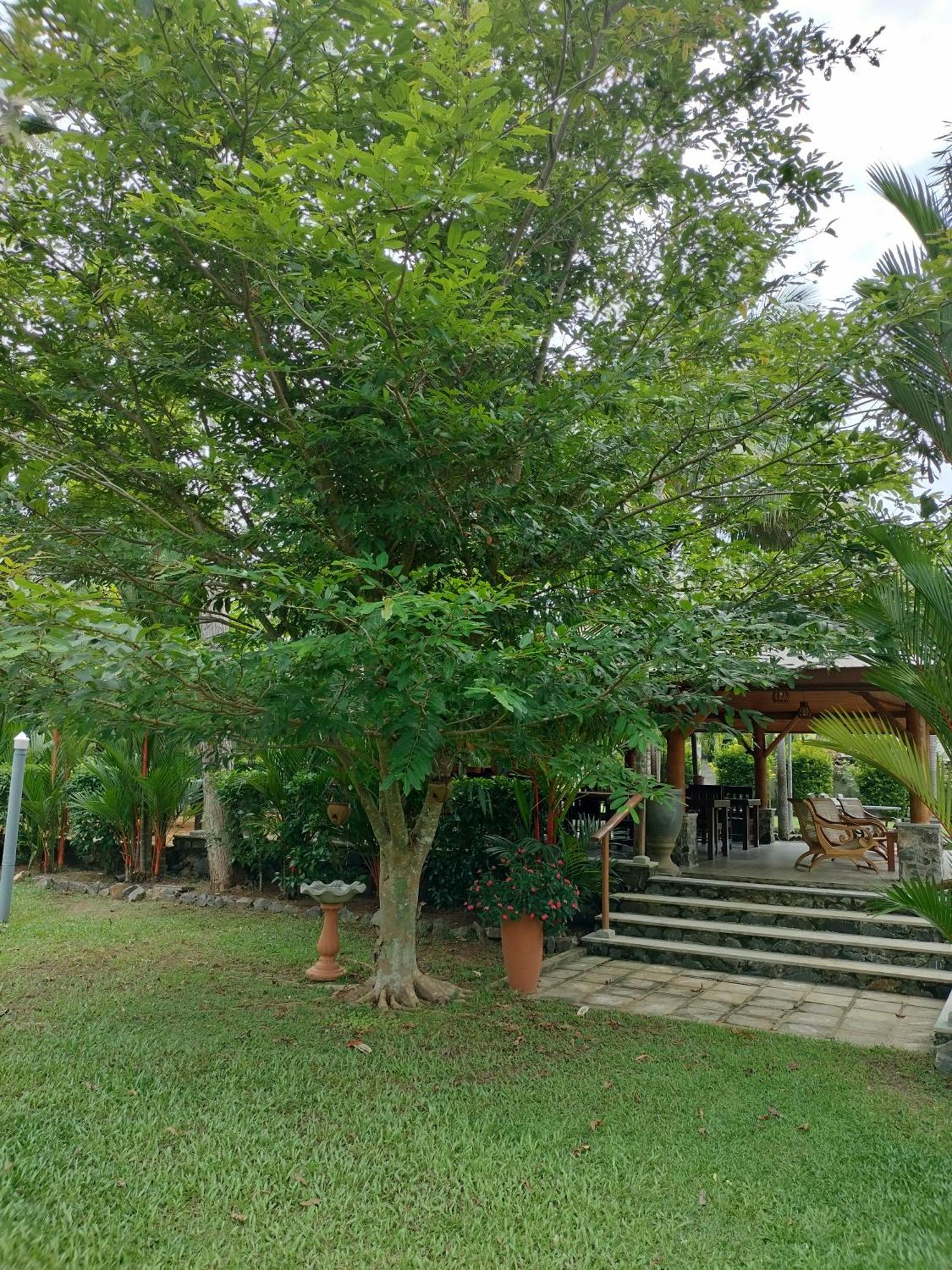 Avalon Village Resort Induruwa Exterior foto