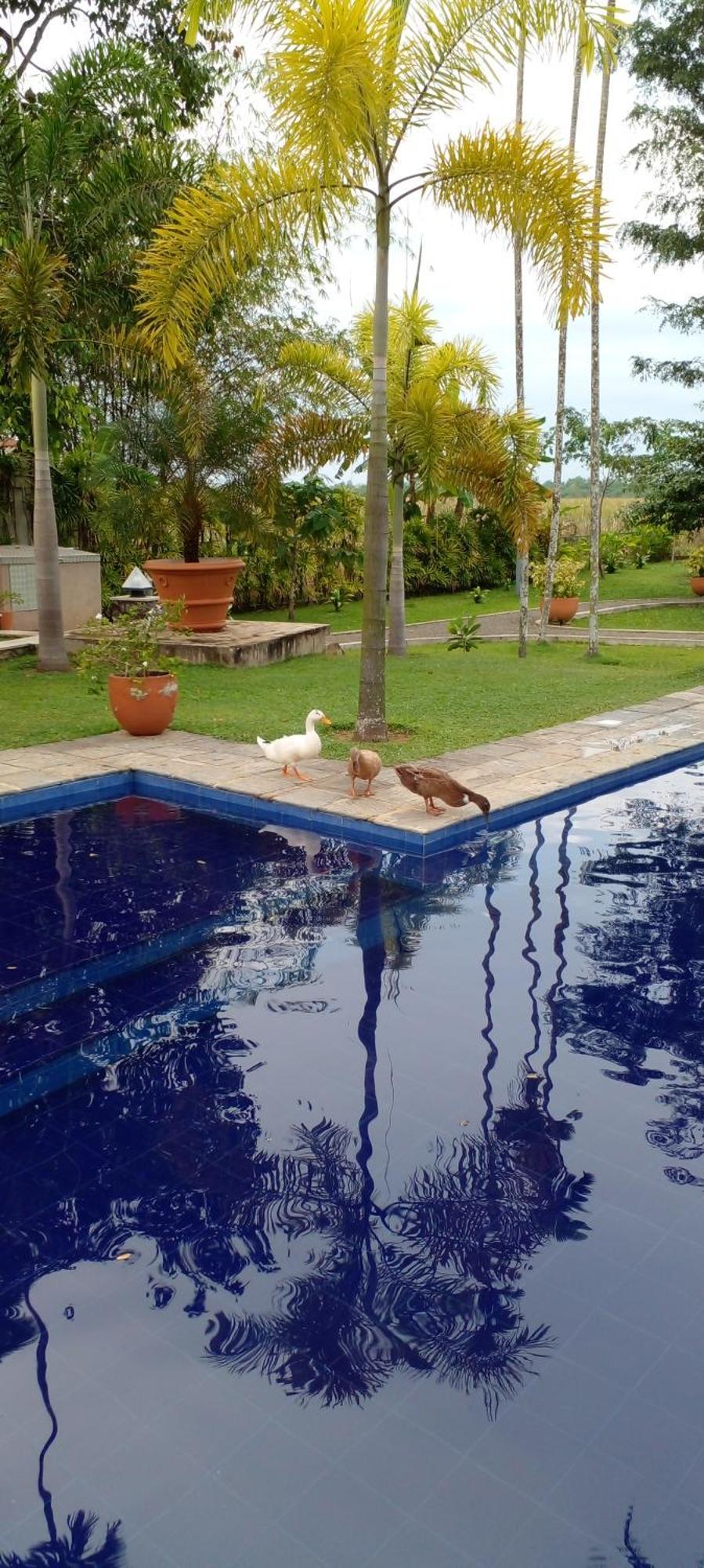 Avalon Village Resort Induruwa Exterior foto