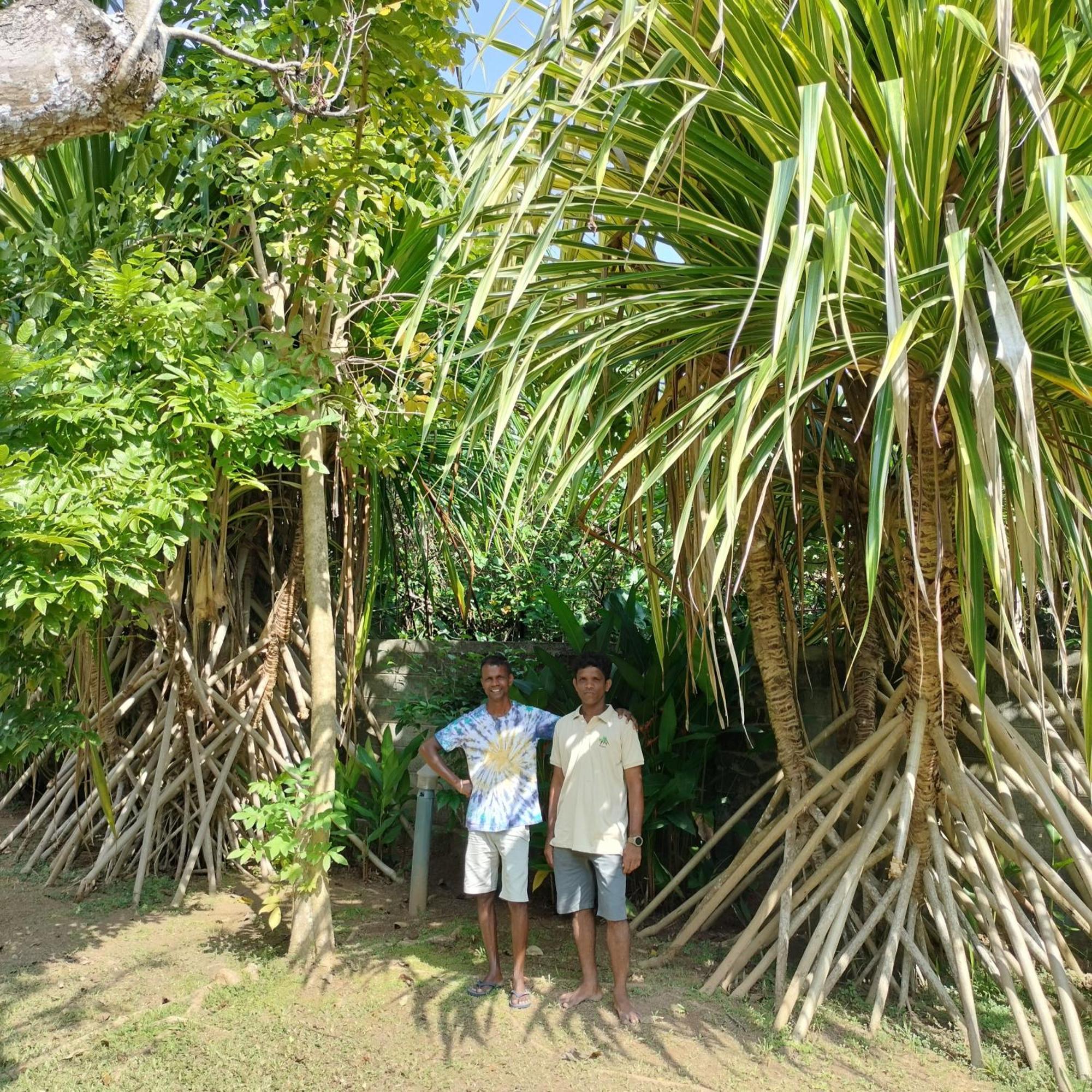Avalon Village Resort Induruwa Exterior foto