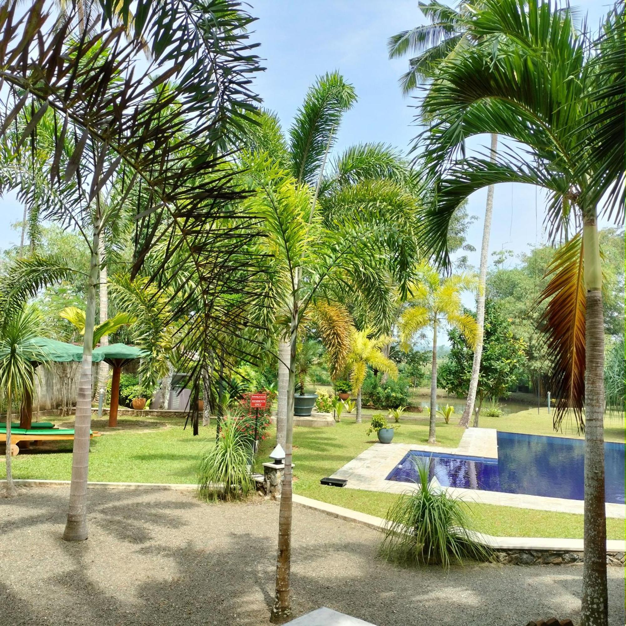 Avalon Village Resort Induruwa Exterior foto