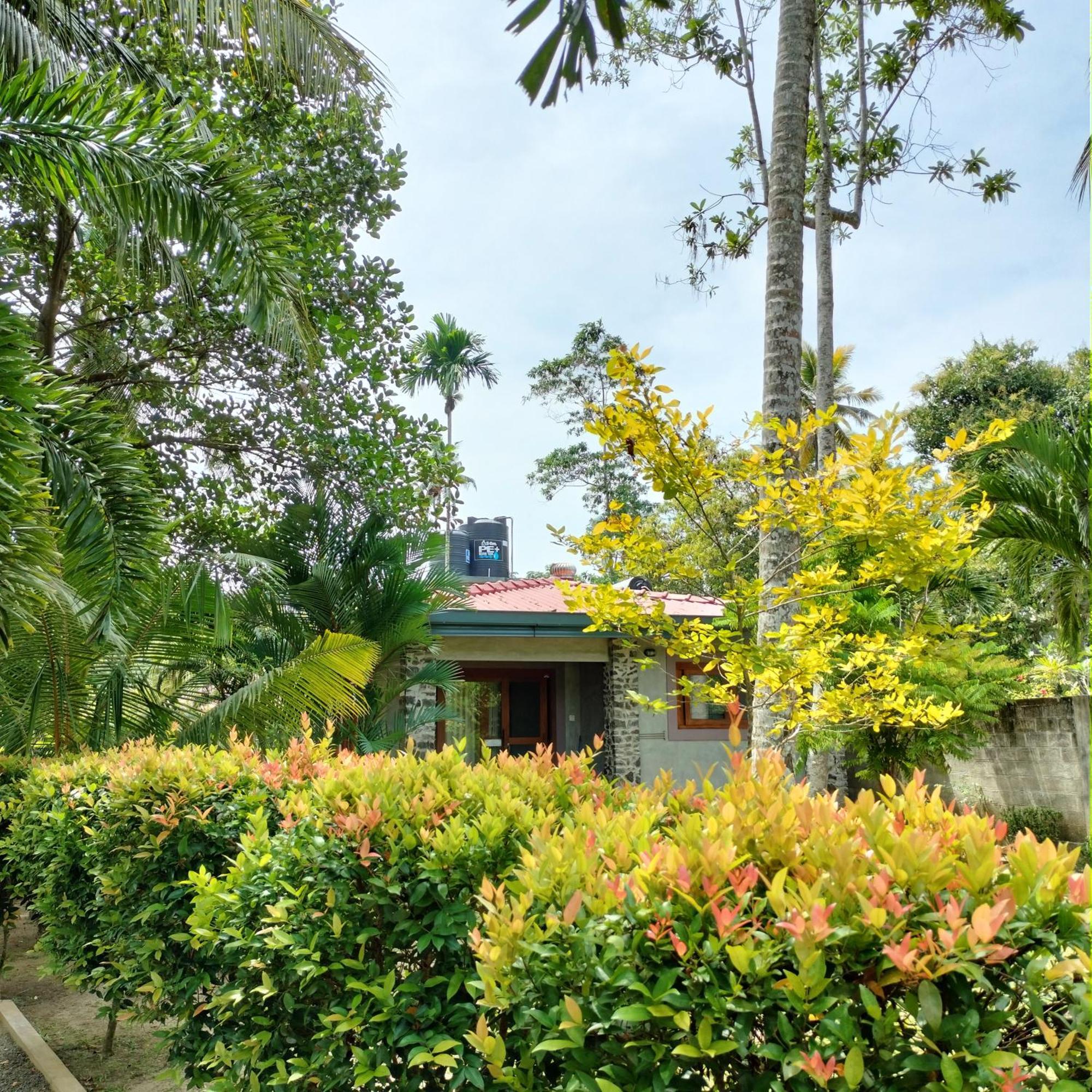 Avalon Village Resort Induruwa Exterior foto