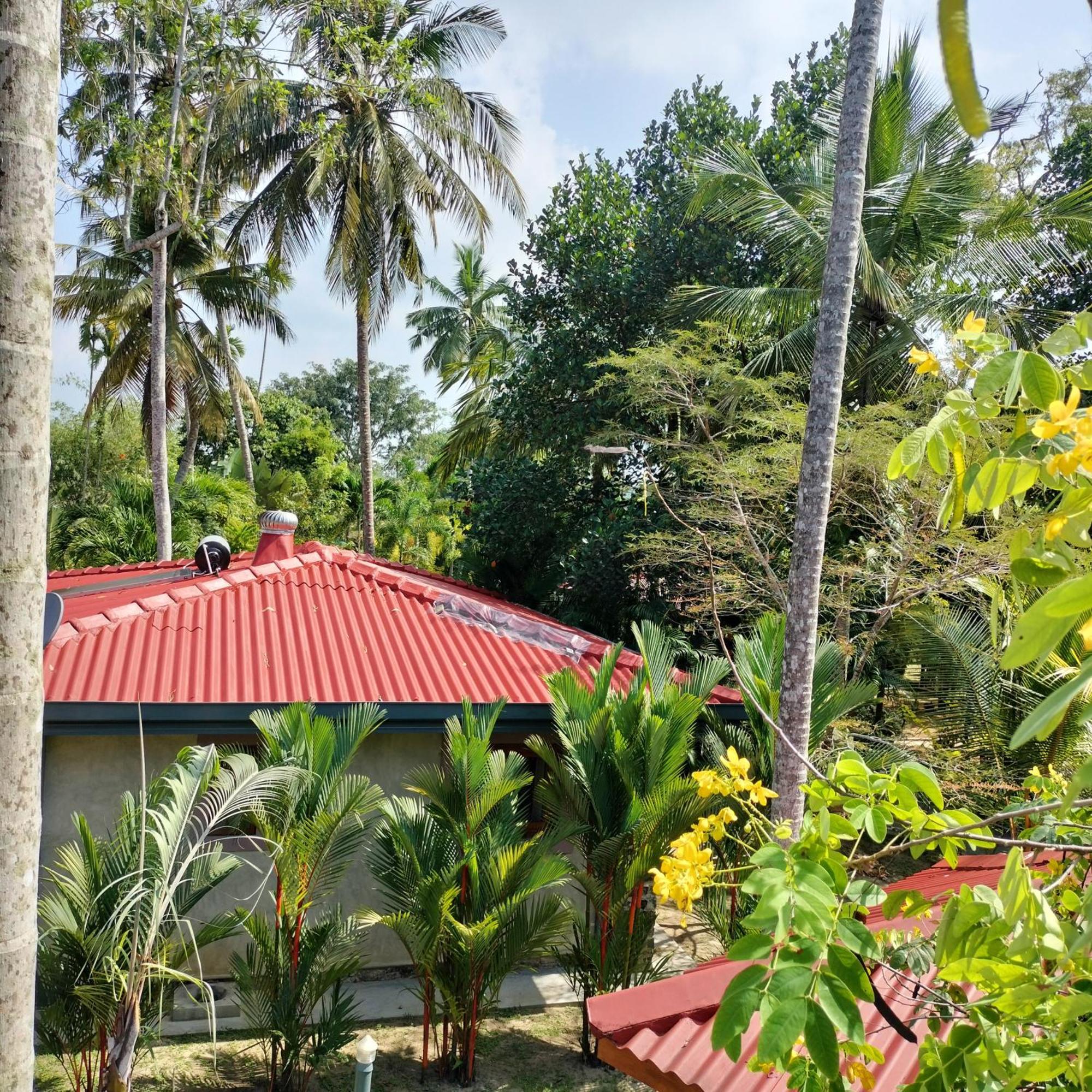 Avalon Village Resort Induruwa Exterior foto