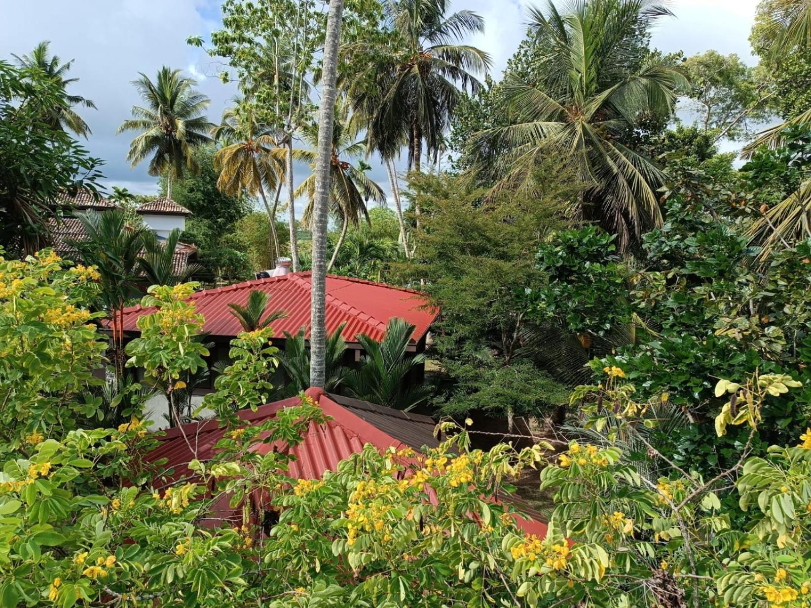 Avalon Village Resort Induruwa Exterior foto